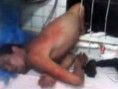 Assaltante tenta roubar padaria e fica entalado em uma grade